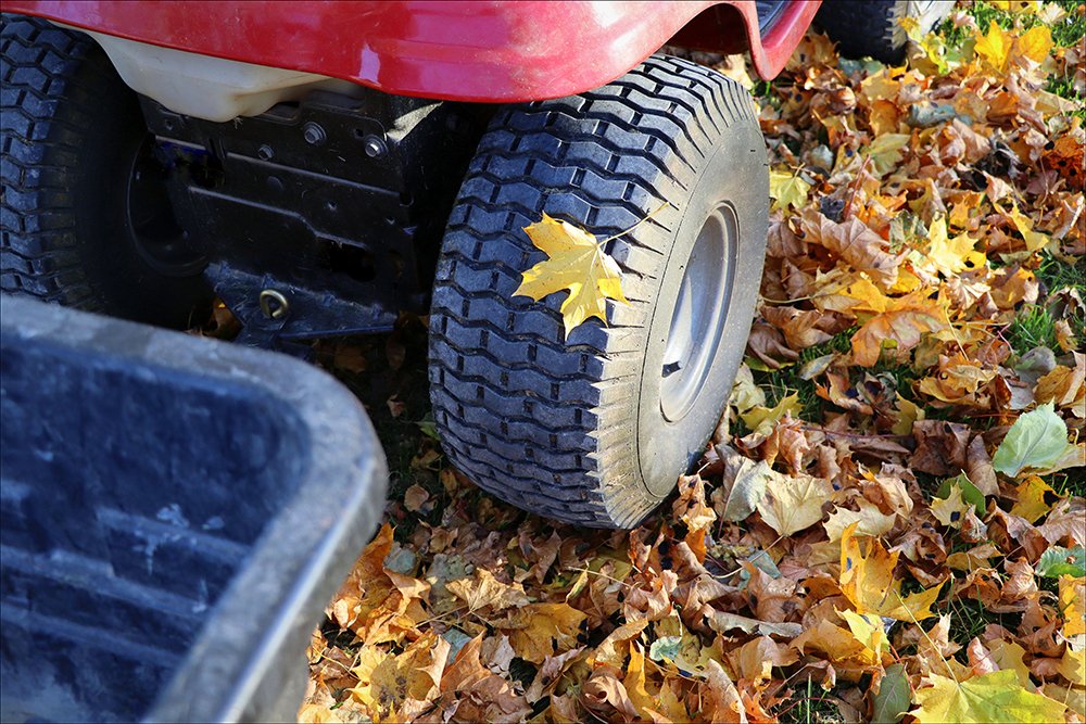 Fall lawn care tips