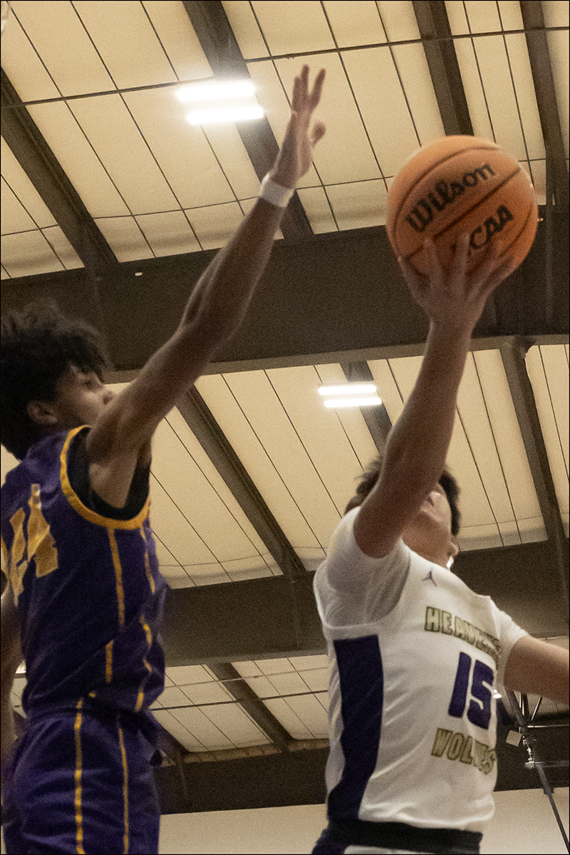 Heavener and Vian